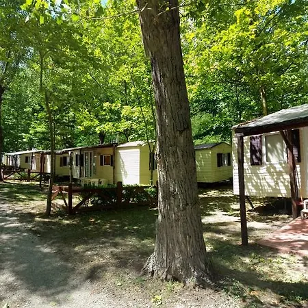 Parco Del Lago Glamping And Lodges Anguillara Sabazia Room photo