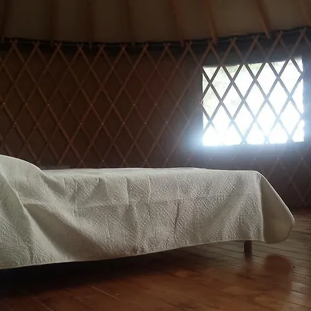 Parco Del Lago Glamping And Lodges Anguillara Sabazia Exterior photo