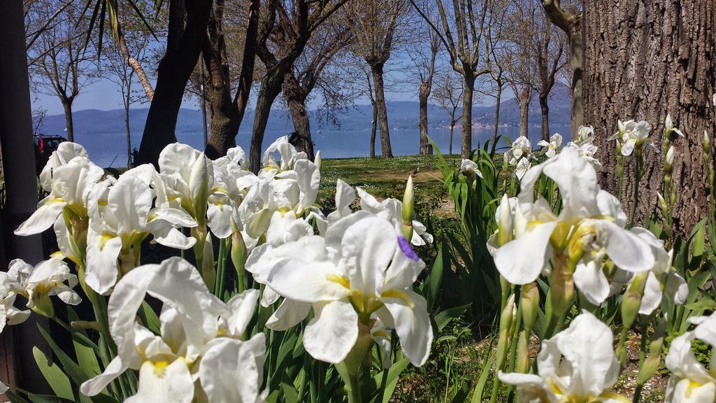 Parco Del Lago Glamping And Anguillara Sabazia